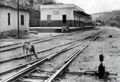 Fotos da Antiga estação de paquevira
